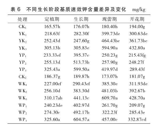 盆栽月季不同生长阶段中速效钾的差异