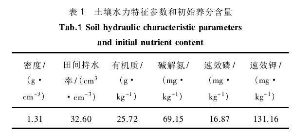 油葵盆栽的试验材料与方法