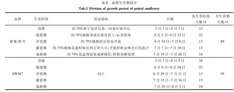 油葵盆栽的试验材料与方法