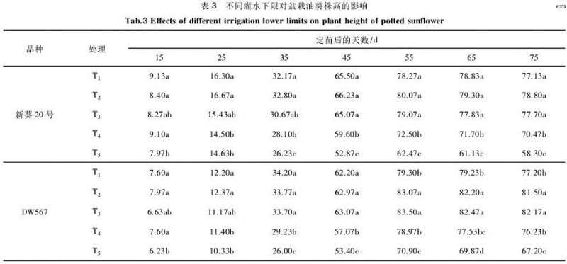 不同灌水下限对盆栽油葵株高的影响