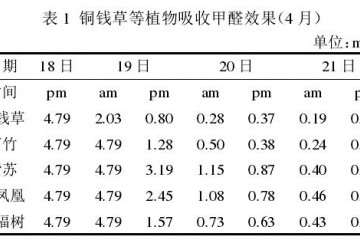 盆栽植物吸收甲醛的效率均超过90%