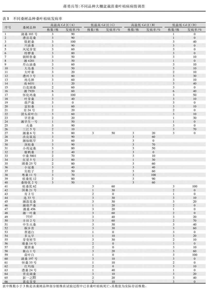 不同桑树品种桑叶盆栽枯病的发病率