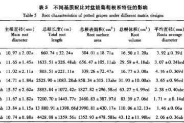 不同基质配比对盆栽葡萄根系特征的影响