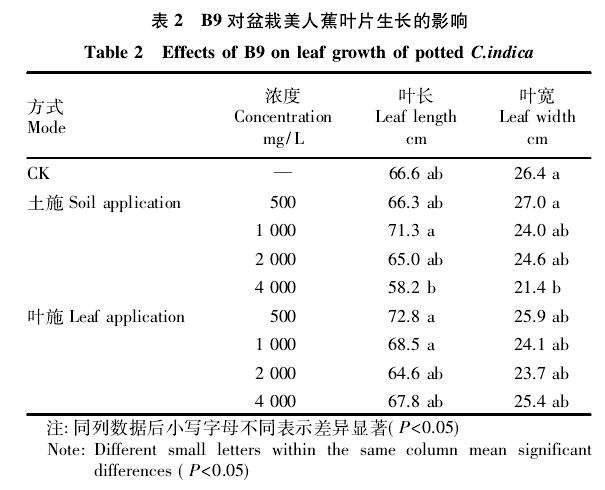 PP333对盆栽美人蕉叶片生长的影响