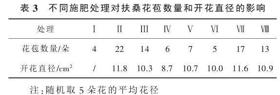 不同施肥处理对扶桑盆栽开花的影响