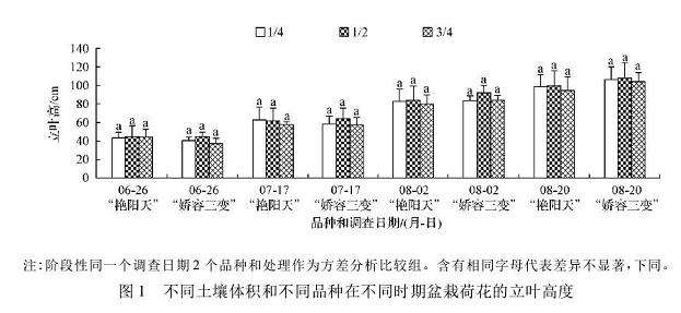 不同盆土体积对荷花盆栽立叶面积的影响