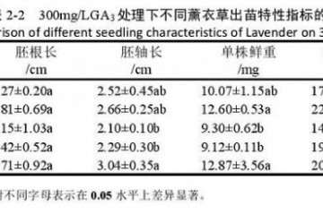 不同浓度GA3对薰衣草盆栽出苗的影响