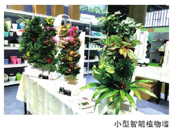 2018年 广州国际花卉艺术展 图片