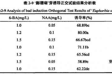 不同热活化处理对盆栽小麦重金属的影响