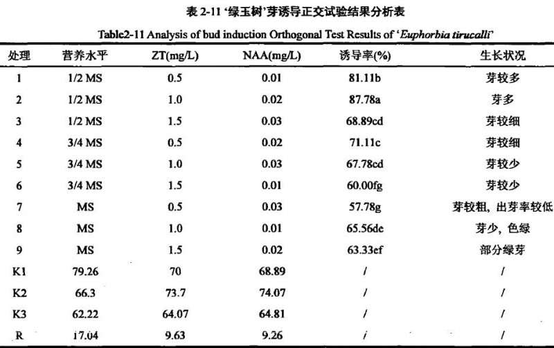 不同激素配比对绿玉树多肉芽诱导培养研究