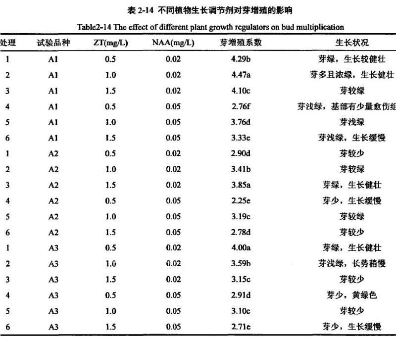 不同激素配比多肉对芽继代増殖的影响