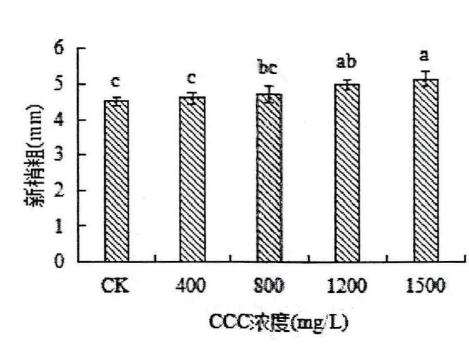 植物生长延缓剂对膨珊瑚多肉新梢粗的影响