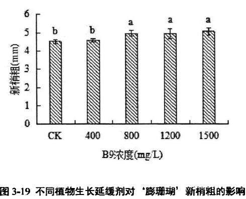 植物生长延缓剂对膨珊瑚多肉新梢粗的影响