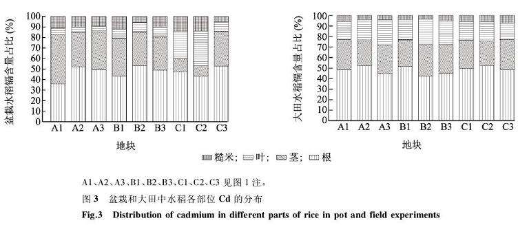 成熟期水稻盆栽各部位的Cd分布