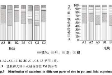 成熟期水稻盆栽各部位的Cd分布