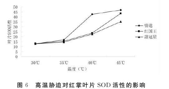 不同高温对盆栽红掌叶片sod活性的影响