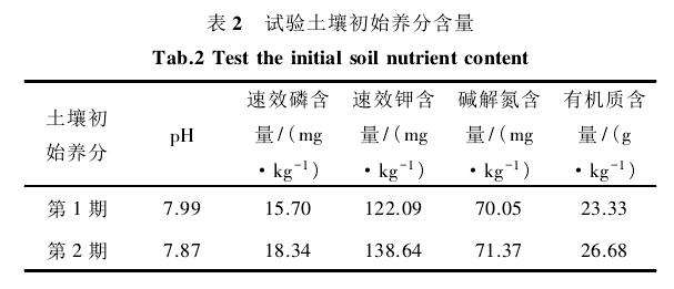 水质对盆栽棉花出苗率和苗期生长的影响