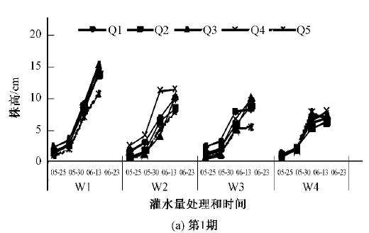 水质对盆栽棉花苗期冠层生长有什么影响