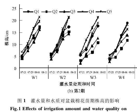 水质对盆栽棉花苗期冠层生长有什么影响