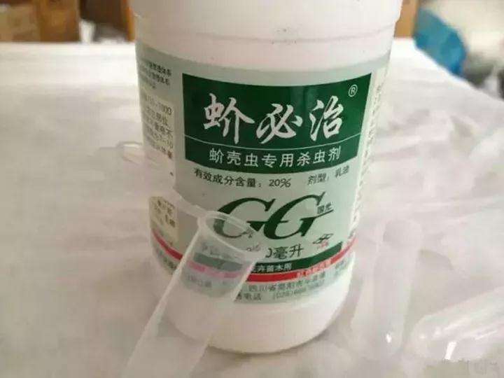 多肉植物怎么使用专业杀虫剂的方法