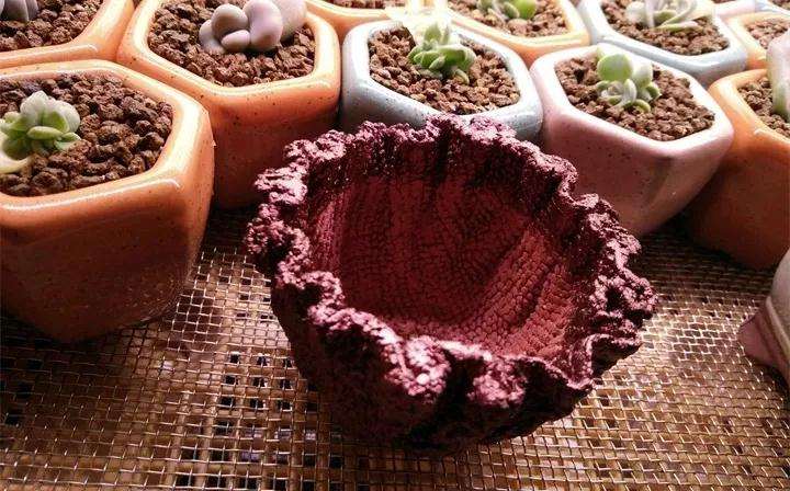 图解 怎么用毛巾水泥做多肉植物的花盆