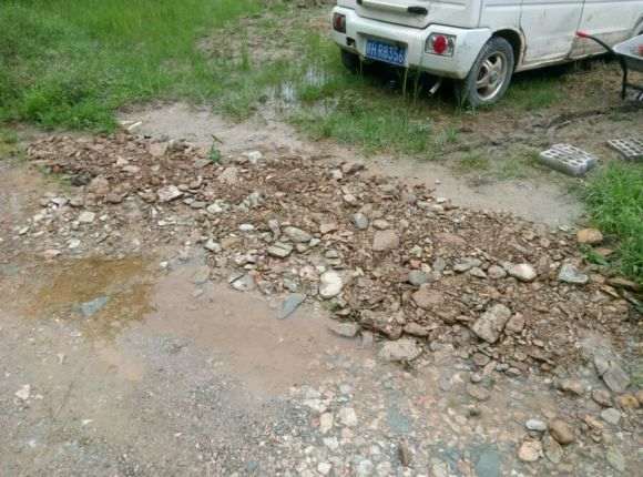 我搭建的多肉大棚被雨水冲成这样了