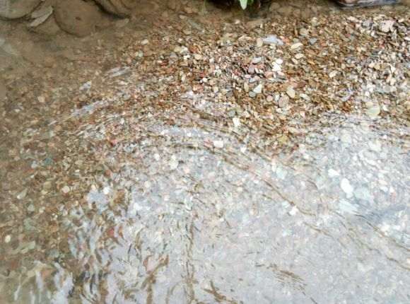 我搭建的多肉大棚被雨水冲成这样了