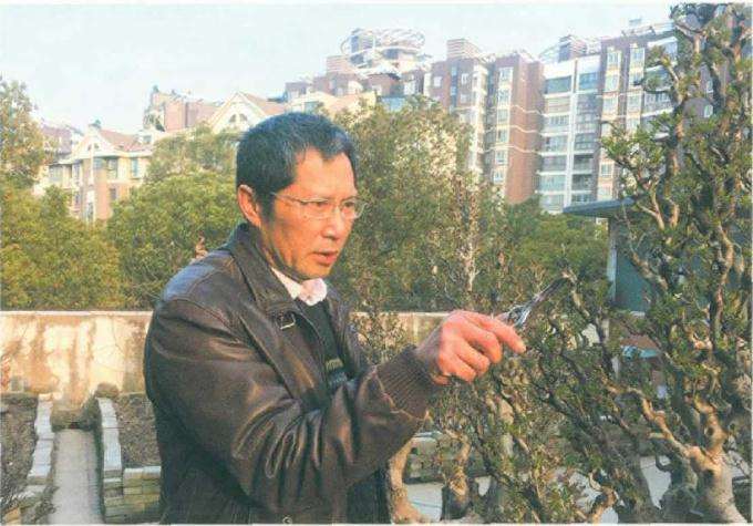 为什么要感谢中国花卉协会盆景分会的领导