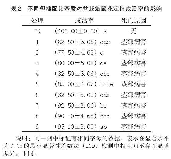 不同椰糠配比对盆栽袋鼠花定植成活率的影响