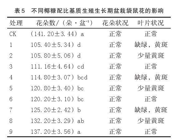 不同椰糠配比对生殖生长期盆栽袋鼠花的影响