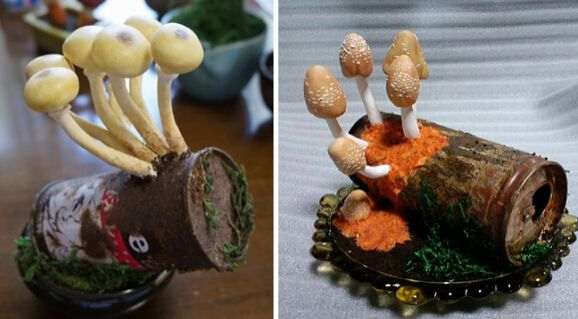 盆栽蘑菇造型对室内景观设计的2个影响