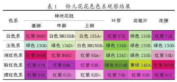 铃儿花的花色观察有那些