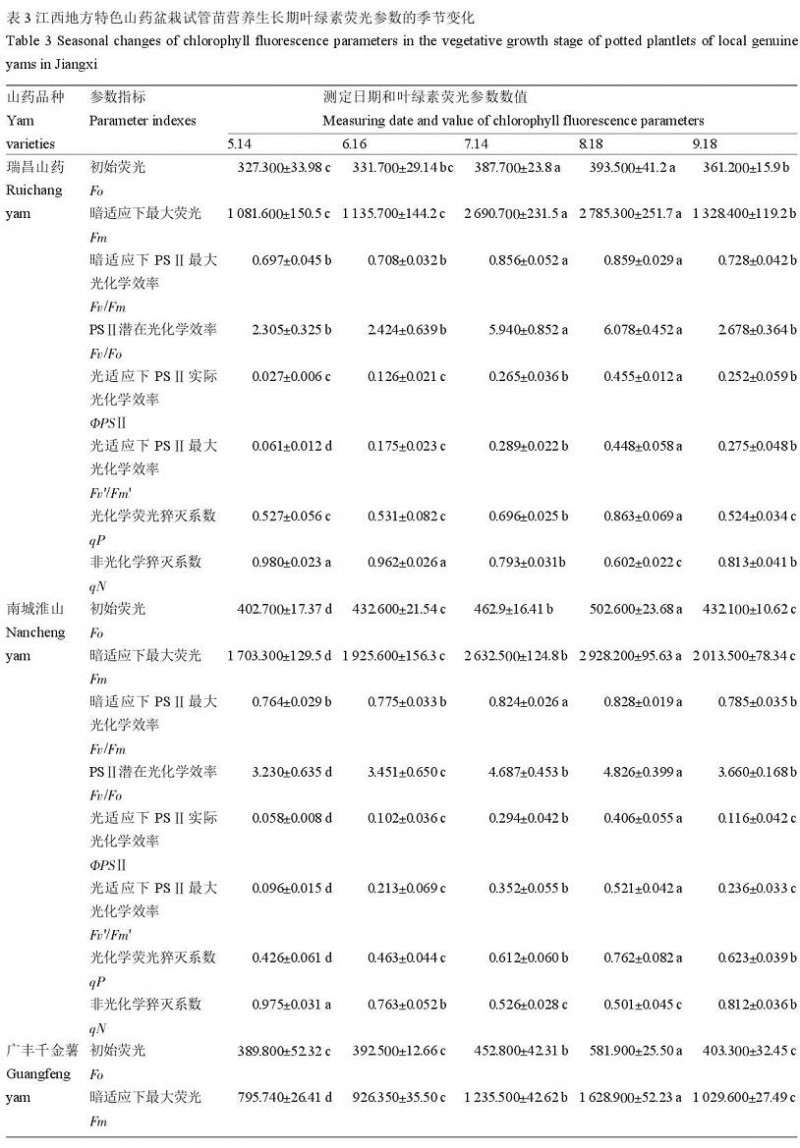  江西地方特色山药盆栽试管苗营养生长期