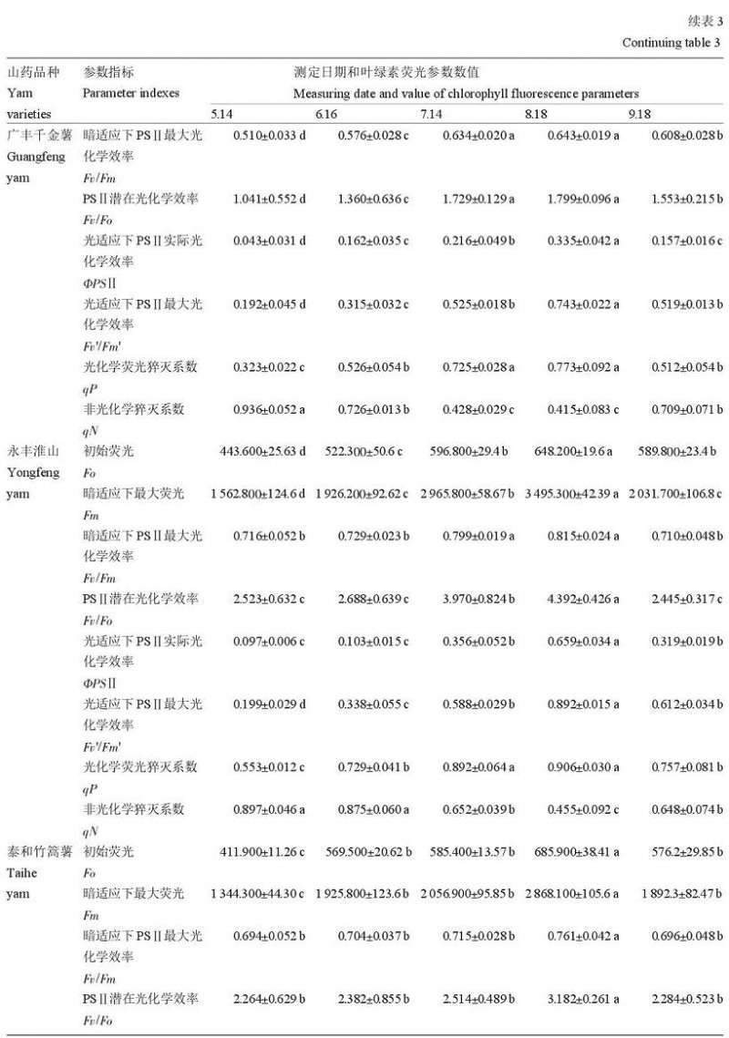  江西地方特色山药盆栽试管苗营养生长期