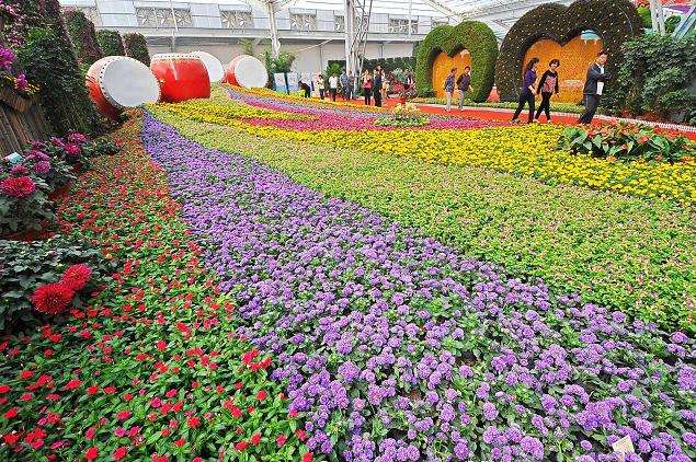 中国花卉协会2019年工作总结