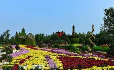 北京世界花卉会于2019年4月29日成功举办