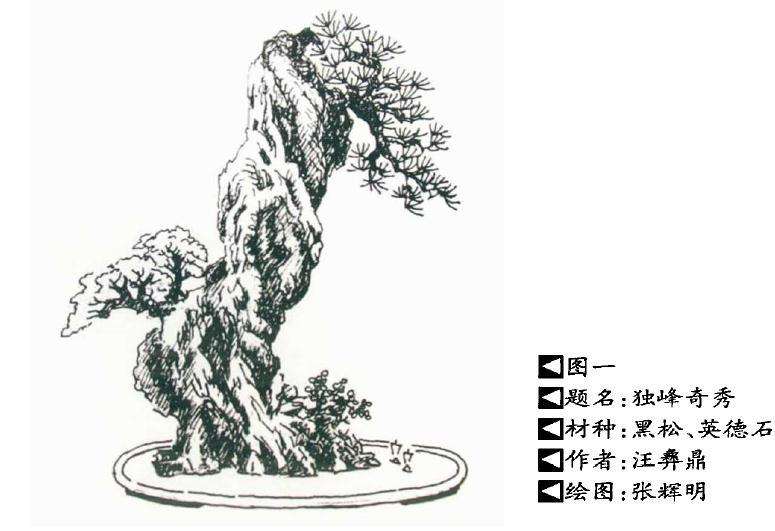 中国盆景造型的美学要素解析