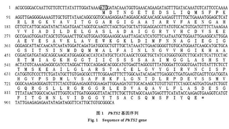 矮牵牛花Ph Ts2的克隆及生物信息分析