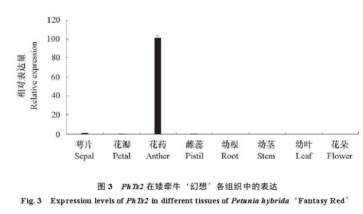 矮牵牛花Ph Ts2的克隆及生物信息分析