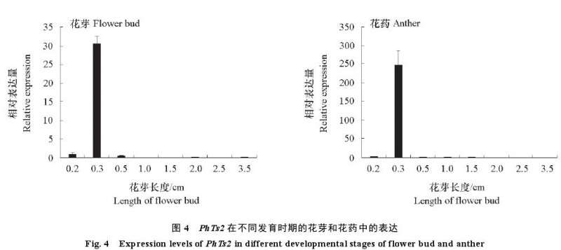 矮牵牛花Ph Ts2的克隆及生物信息分析