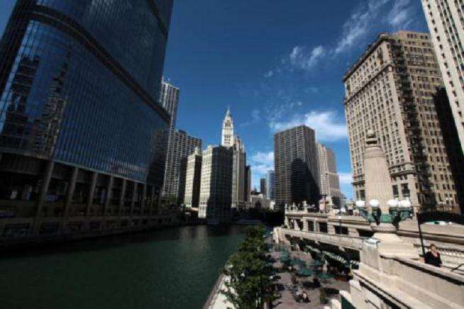 芝加哥3月花展的初衷是什么
