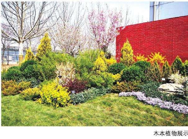 北京市花木有限公司第七届春季花卉展开幕