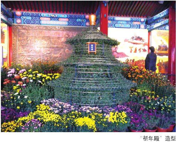 北京天坛菊展中的菊花展示手法