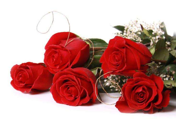 广州红玫瑰从2.50元降至0.60元1支