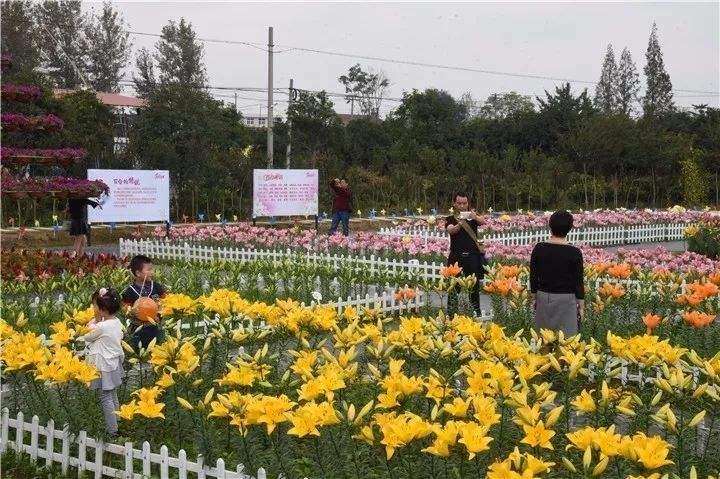 2030年我国花卉植物消费将达到万亿级别