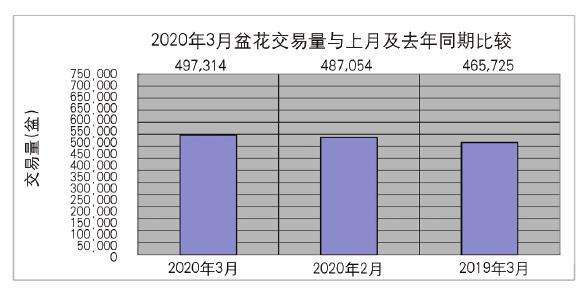 2020年3月台北花卉市场盆花行情