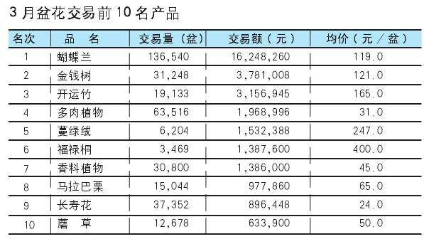 2020年3月台北花卉市场盆花行情