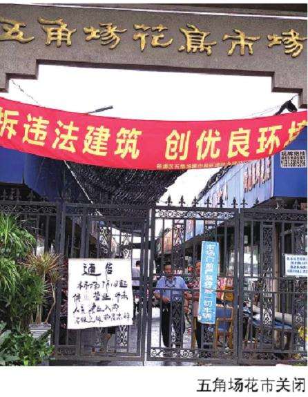 为什么上海花市会遭遇折腾的4个原因