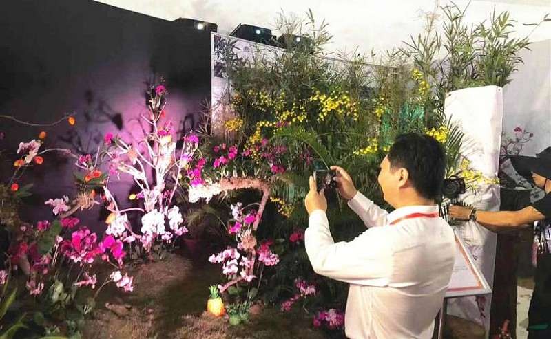 2019年三亚举办国际花卉旅游节