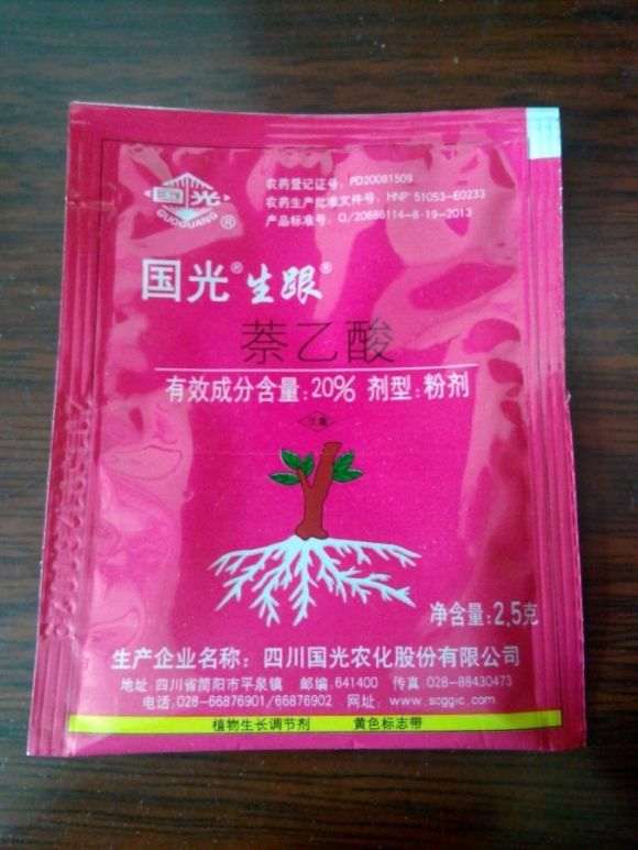 茶花下山桩可以使用过生根粉吗